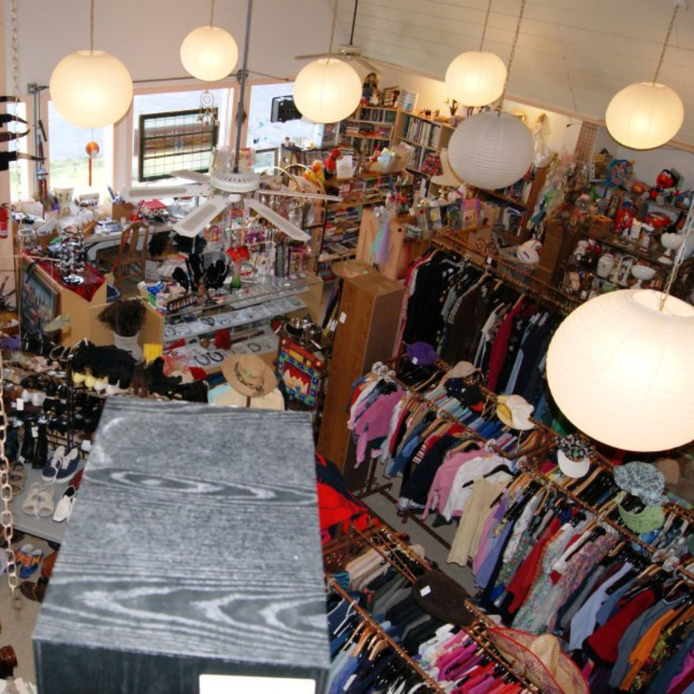 Meet your Posher, Sonya